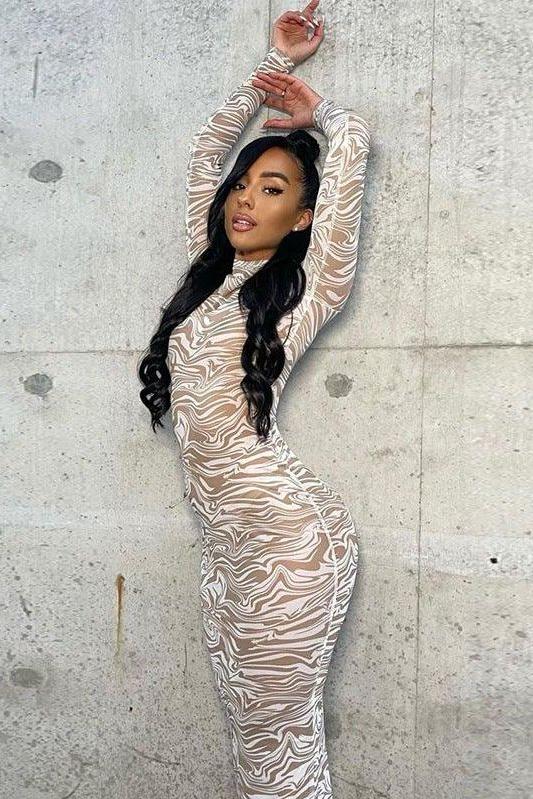 Printed Mesh Long Dress