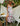 Printed Dress Secondary image