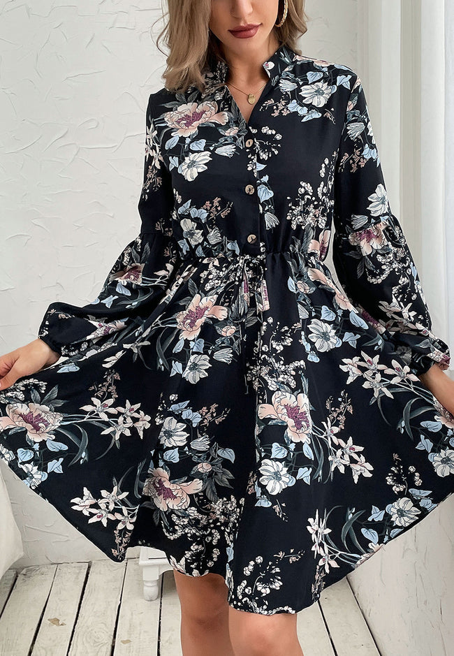 Printed Collared Retro Dress Main image