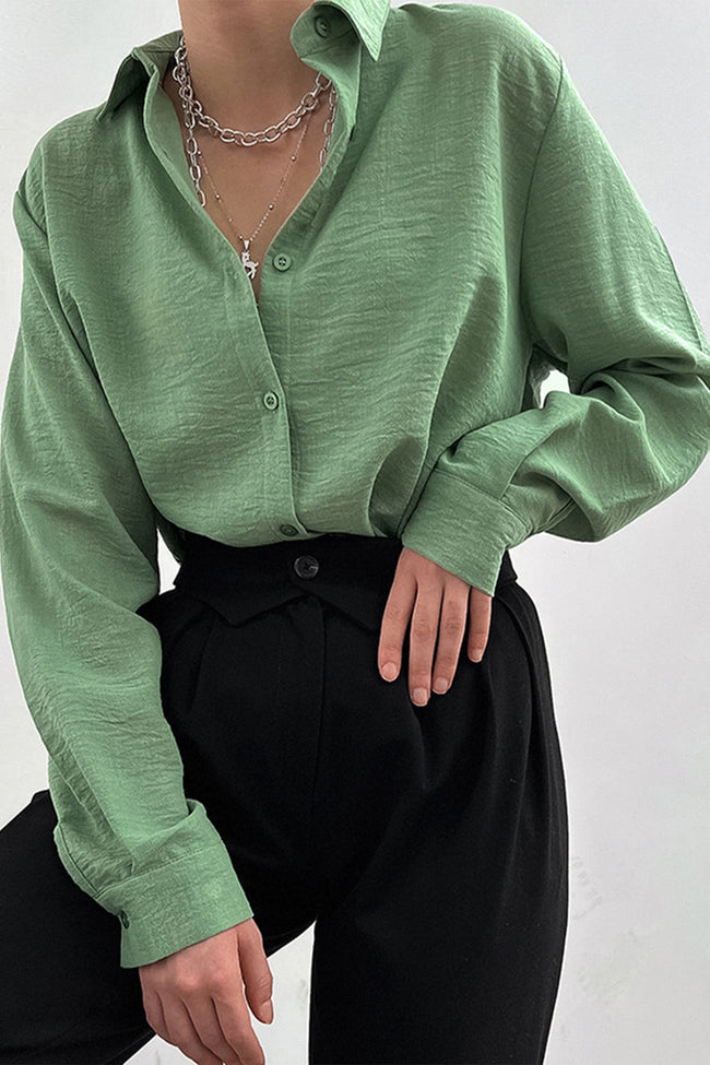Button-Front Lapel-Collar Long-Sleeve Blouse Main image