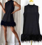 Crewneck A-Line Dress with Feather Details